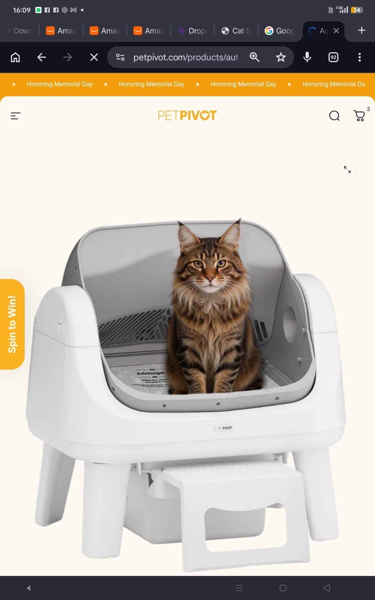 Charming Cat Car Sticker